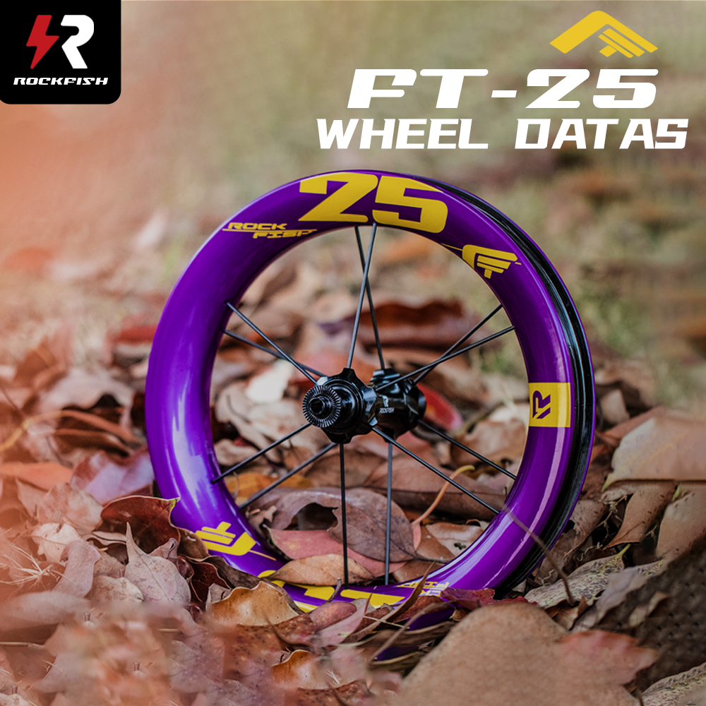 Rockfish FT-25 12inch Carbon Fiber Wheelset