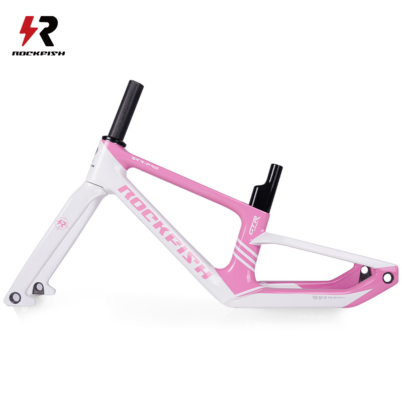 GTR-Pro carbon fiber frame set
