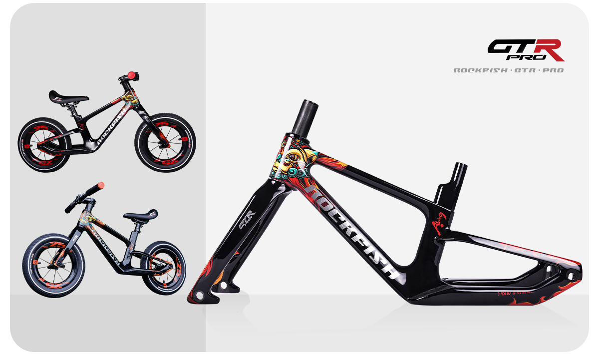 GTR-Pro carbon fiber frame set