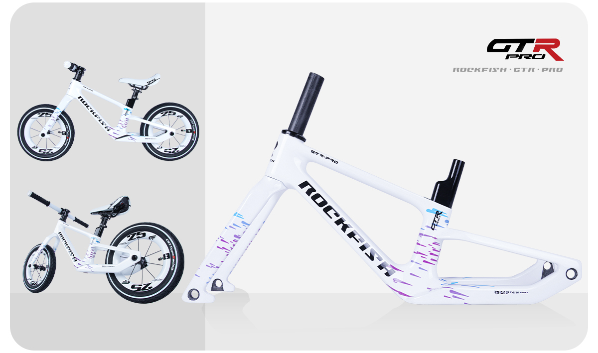 GTR-Pro carbon fiber frame set