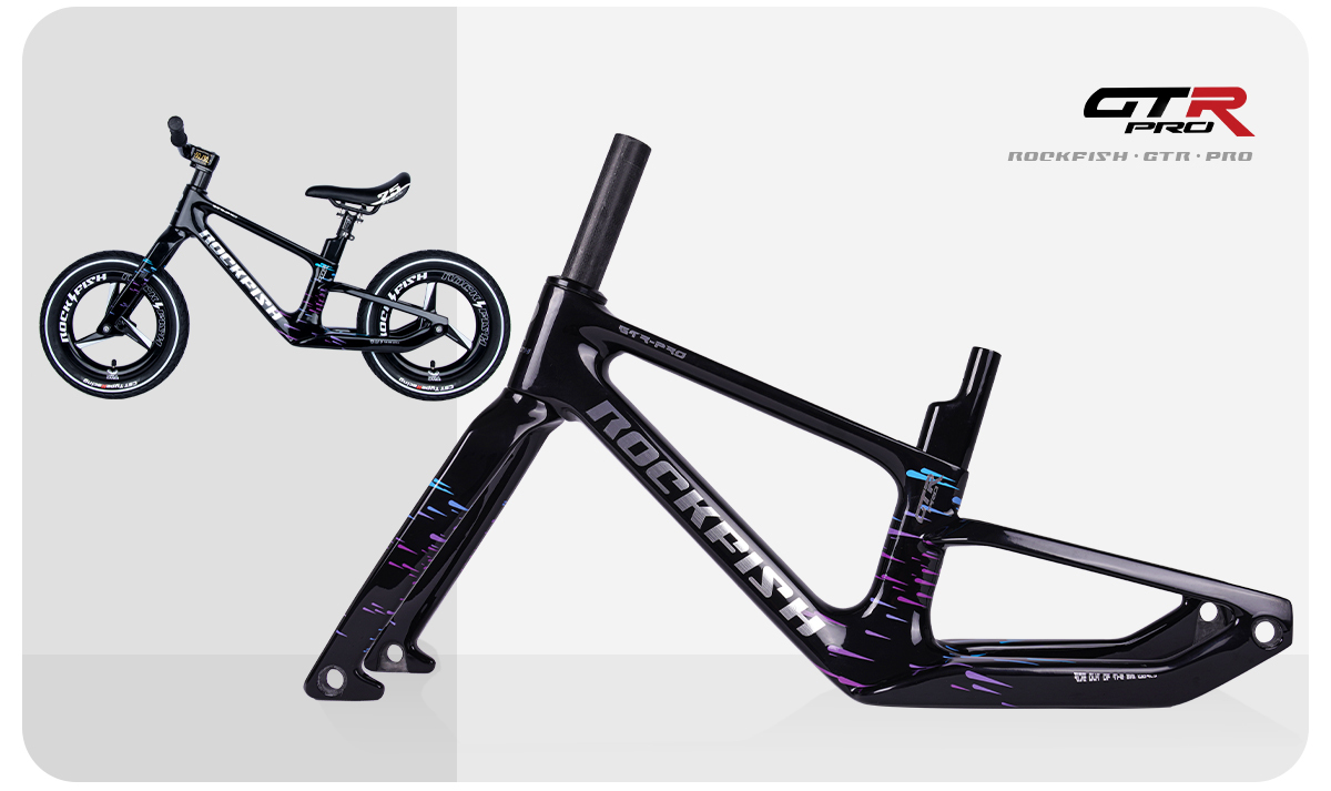 GTR-Pro carbon fiber frame set
