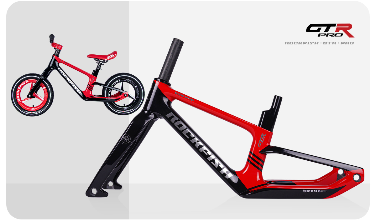 GTR-Pro carbon fiber frame set