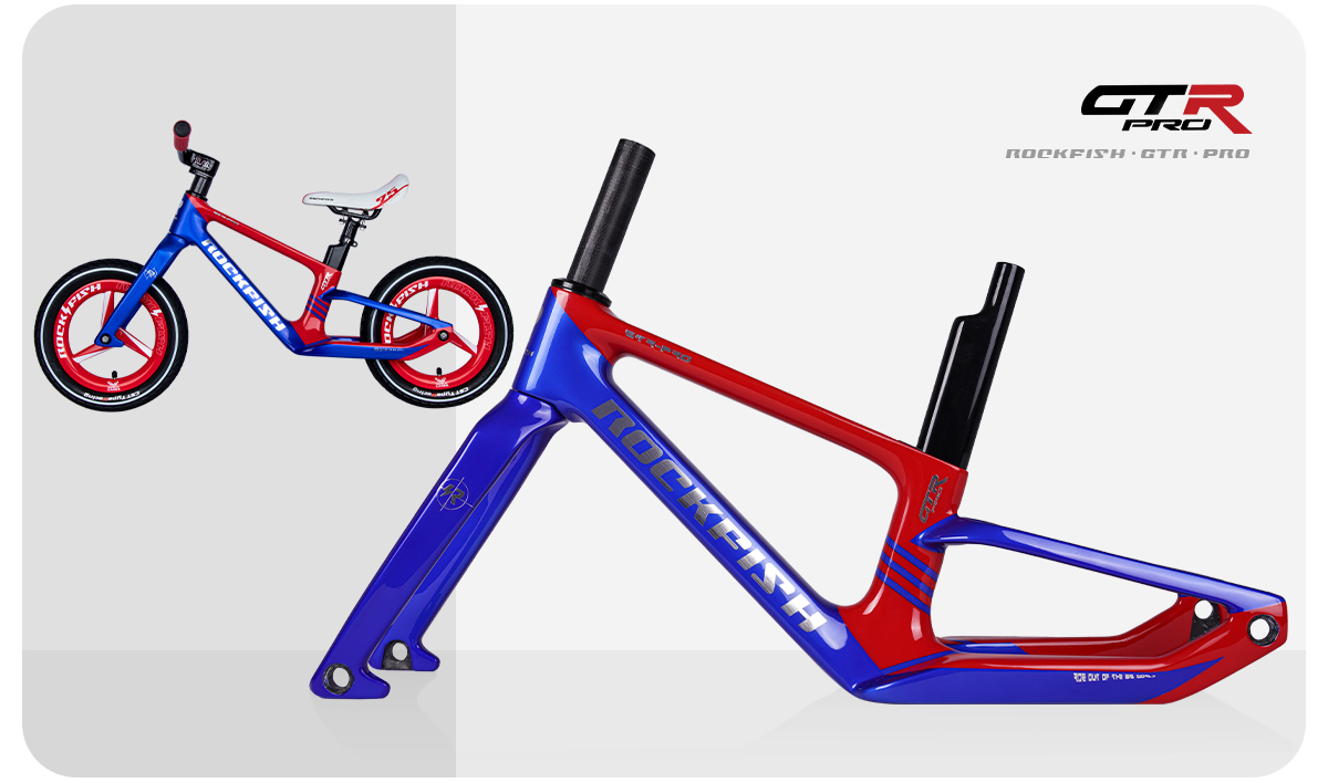 GTR-Pro carbon fiber frame set