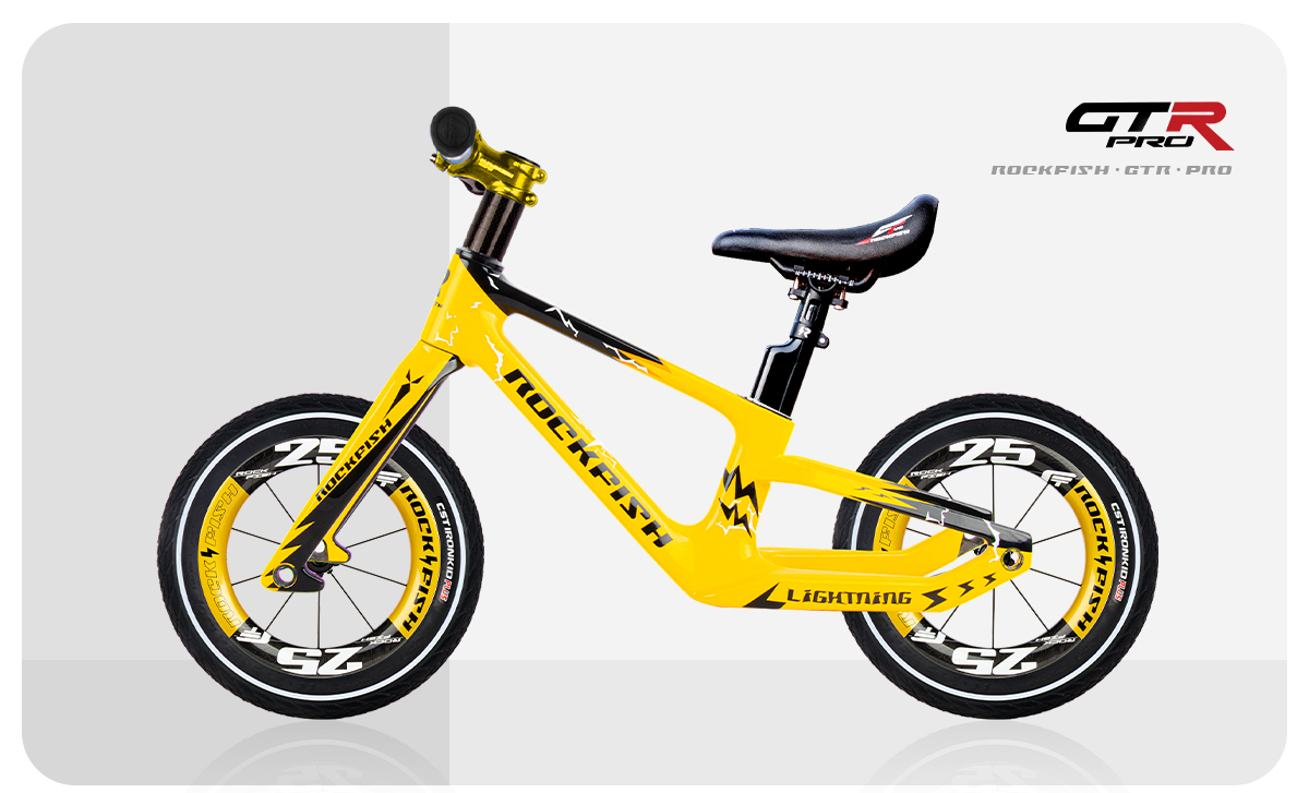 GTR-PRO-Carbon fiber pushbike