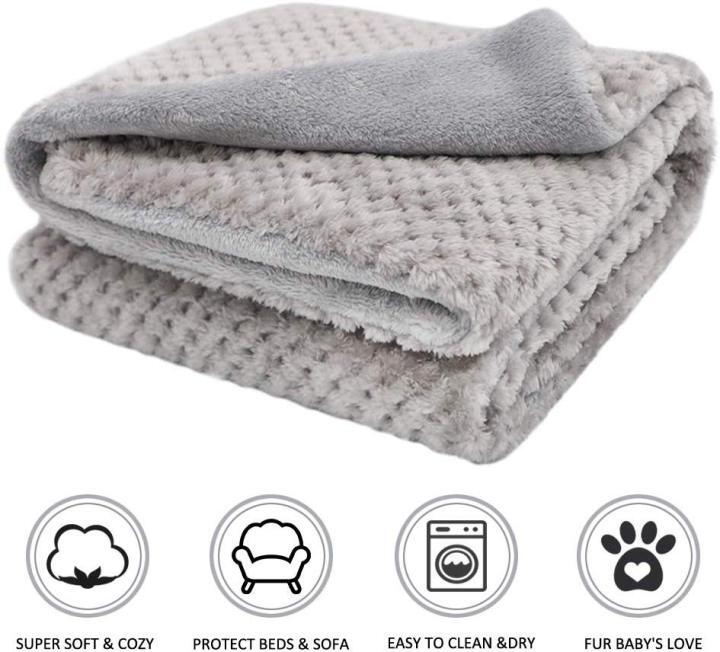 furry dog blanket