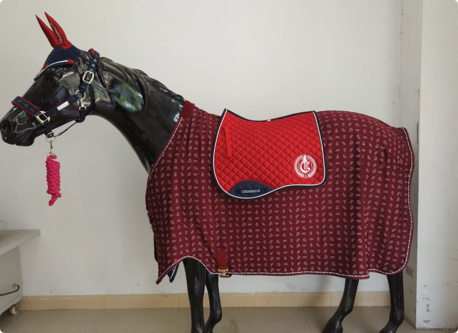 Why Horse Matching Sets Are Becoming a Must-Have for Equestrian Brands