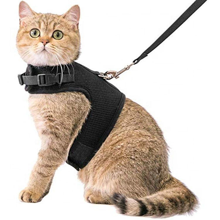 3D Black air mesh collar cat harness adjustable with leash
