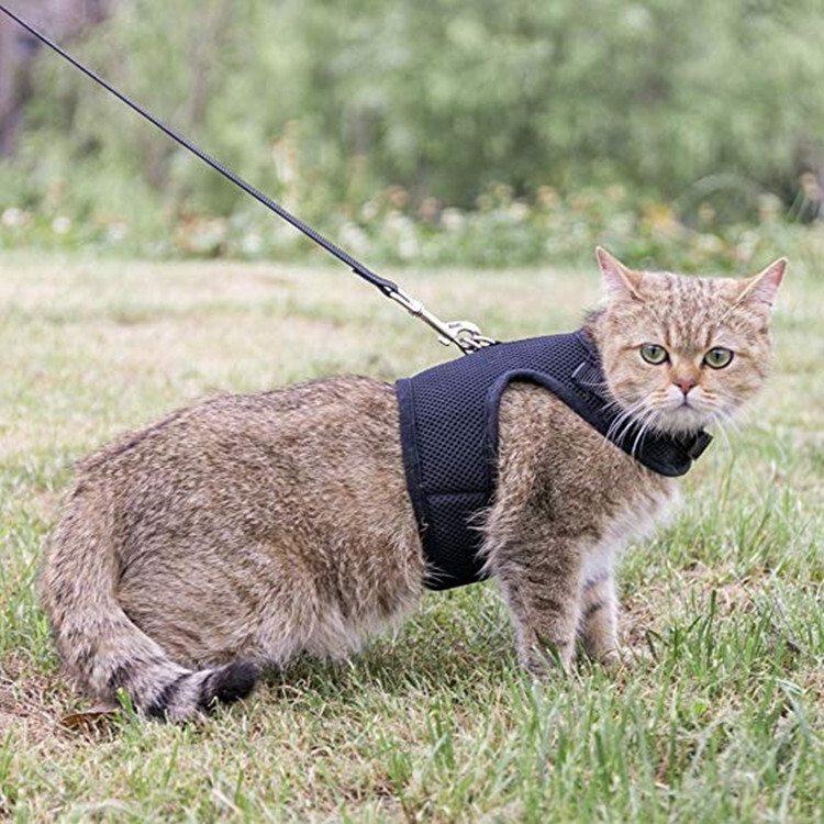 3D Black air mesh collar cat harness adjustable with leash