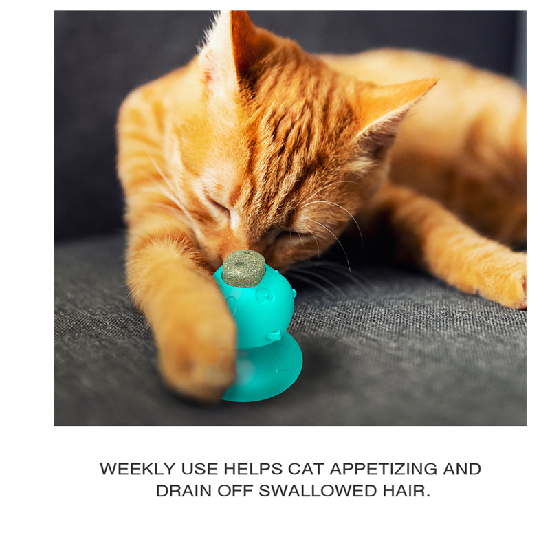 Pet Toys Cat Lick Toys Kitten Kitty Mint Licking Molar Suction Cup