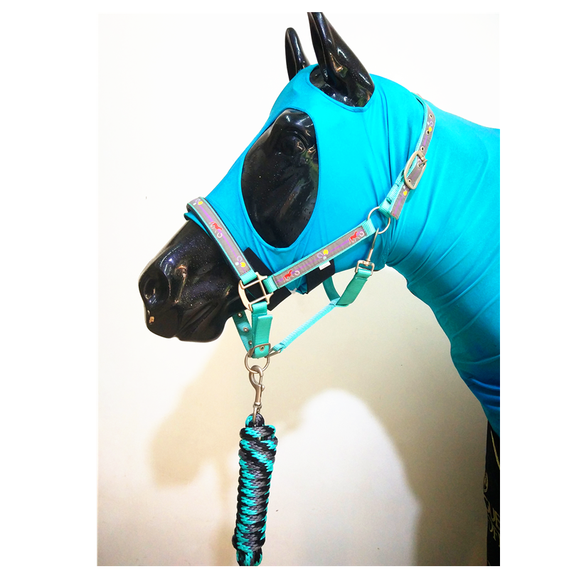 Black Horse Bridle Halters and Lead