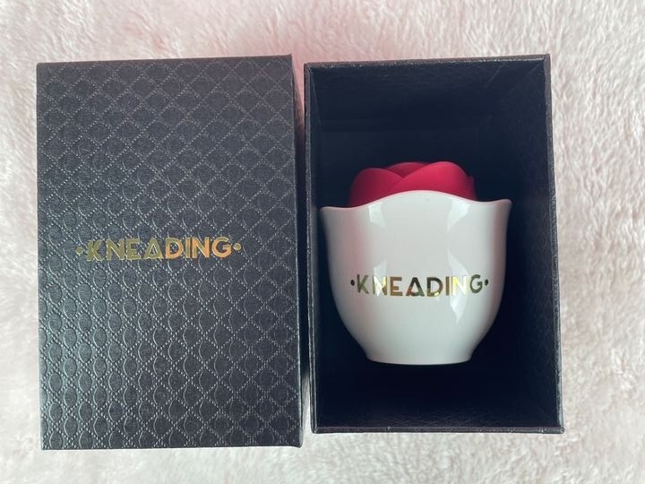 KNEADING Rose Toy for Woman Pleasure Nipples Stimulator Lip Kneading & Sucking Nipples Adult Couple Women Waterproof and Rechargeable