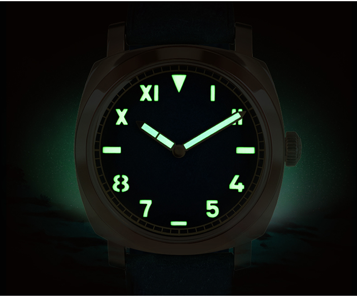 see through case back watch