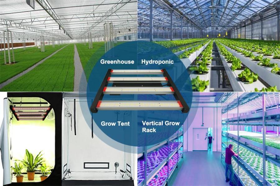 What Factors Should you Consider When Selecting the ideal LED Grow Light?