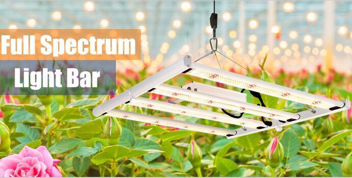 Why A 240w Full Spectrum LED Grow Light Is The Only Solution To Grow Indoors