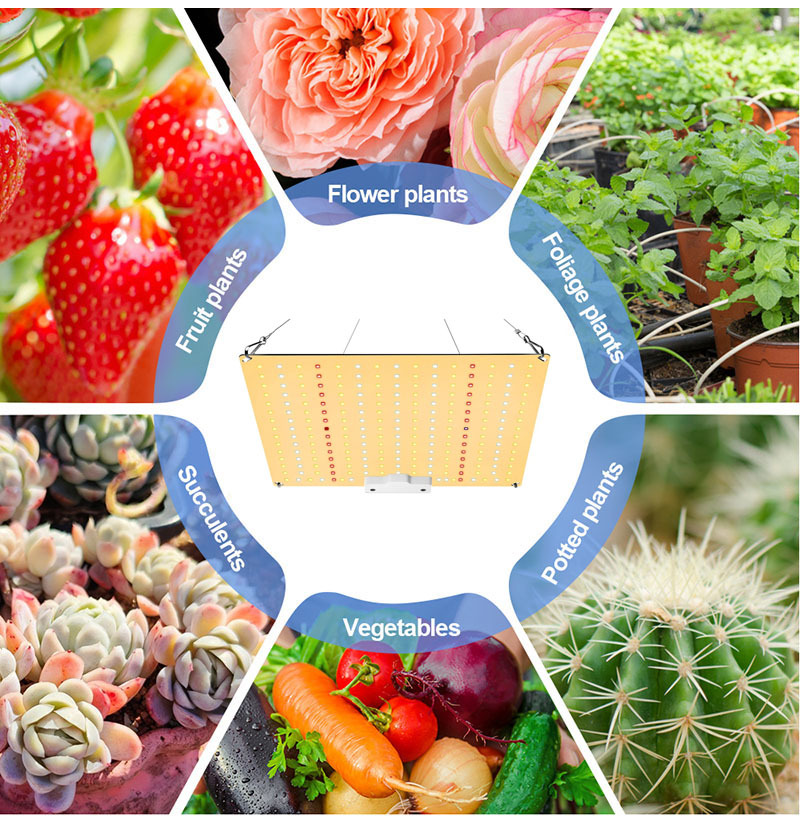 65W full spectrum plant LED light Samsung SMD diode 65W QB led grow light for indoor plants