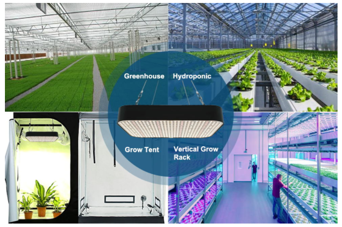 130W full spectrum quantum box LED grow light for indoor plants 
