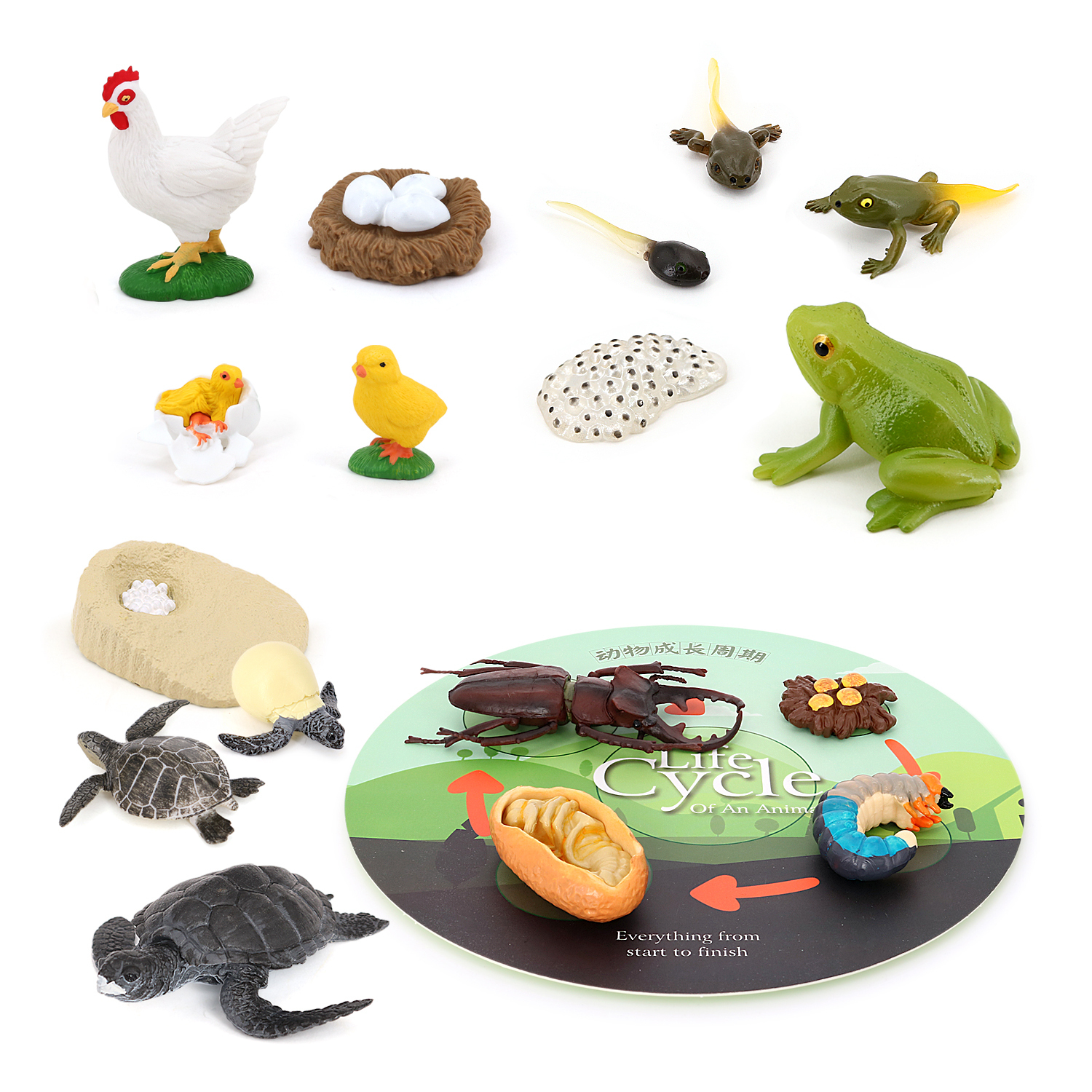 Volnau Animal Figurines Toys Set 17PCS Life Cycle Toys Sea Turtle Frog Chicken Stag Beetle Animal Figures for Toddlers Kids Christmas Birthday Gift Preschool Educational