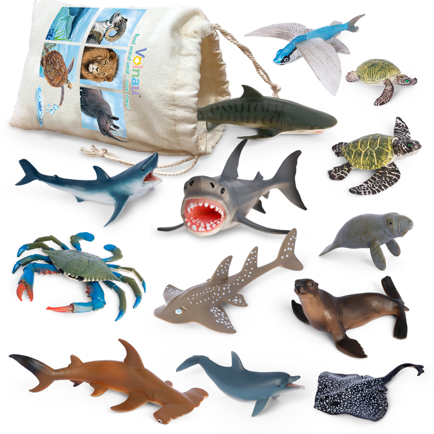 Volnau 14PCS Atlantic Shark Toys Sea Creature Toys Ocean Sea Animal  Figurines for Toddlers Kids Christmas Birthday Gift Plastic Fish Toys  Preschool Pack and Bath Sets