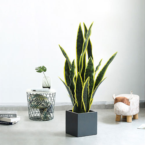 faux plastic Snake plant Artificial Snake plants for decoration potted