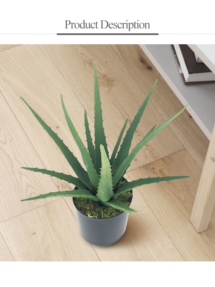 Realistic faux plastic green plant bonsai Aloes Artificial Aloes for