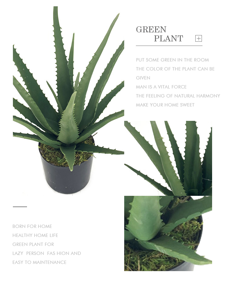 Realistic faux plastic green plant bonsai Aloes Artificial Aloes for