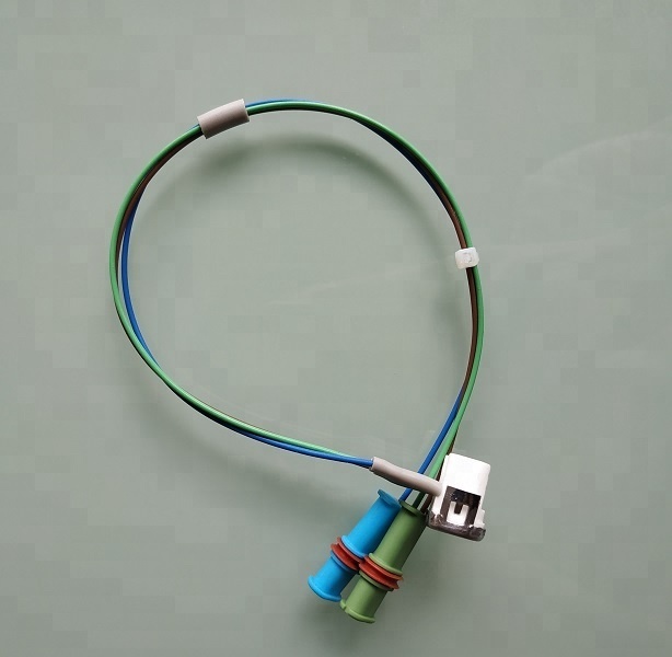 252069010200 D2 D4 12V 24V Heater Flame and Overheat Sensor for EB