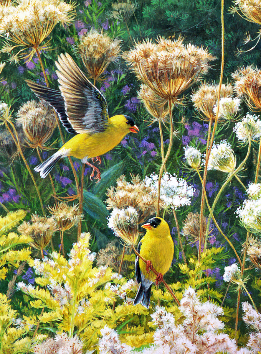 Sunature Diamond Painting Art Full Square Round Drills Bird Flowers ...