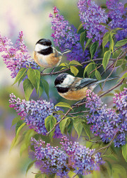 Sunature Diamond Painting Art Full Square Round Drills Bird Flowers ...