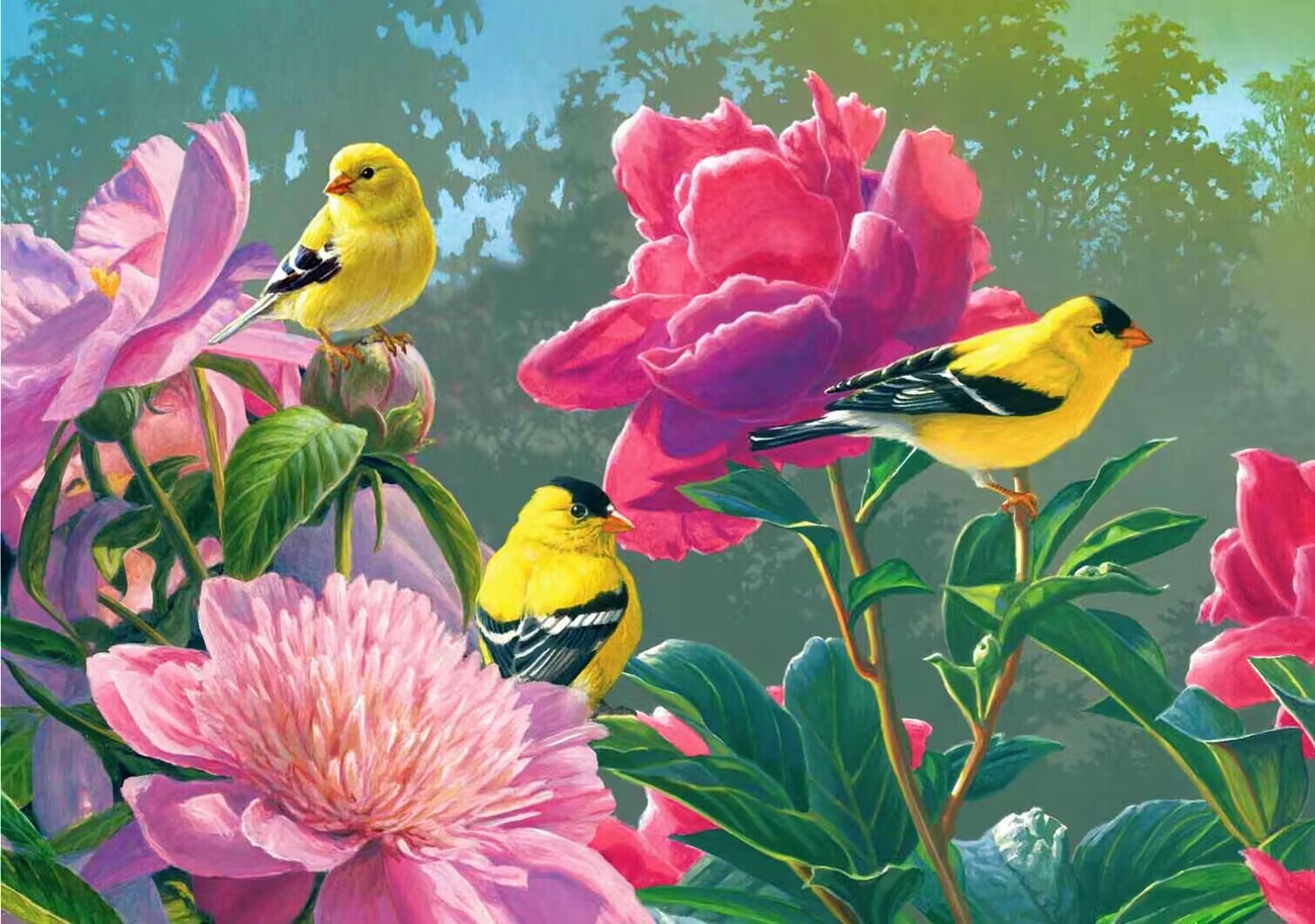 Sunature Diamond Painting Art Full Square Round Drill Flower Bird ...