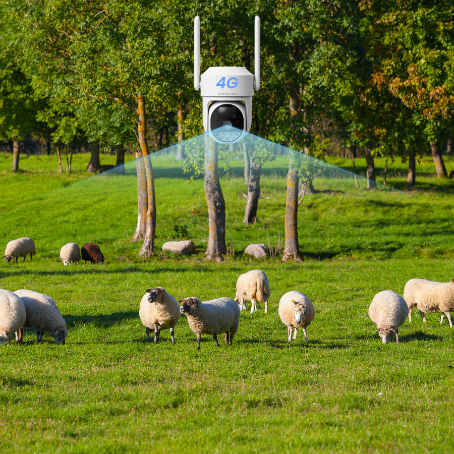 What Does a 4G Security Camera Actually Do Without WiFi?