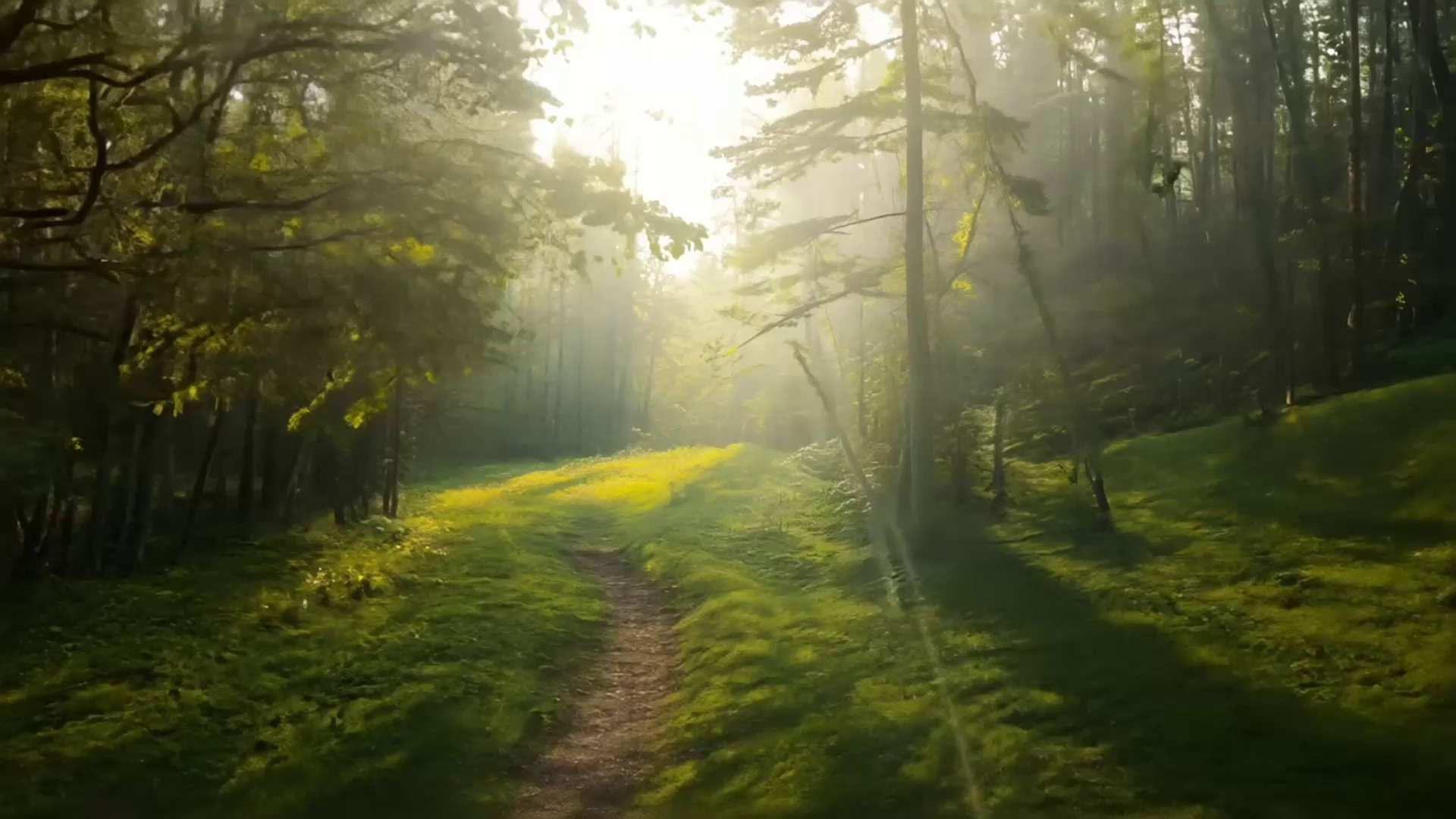 4G LTE Cellular Trail Cameras with Night Vision Motion Activated Waterproof, Wireless Game Cameras 0.05s Trigger Motion Activated, Real-Time Alerts for Wildlife Monitoring, Color Night Vision