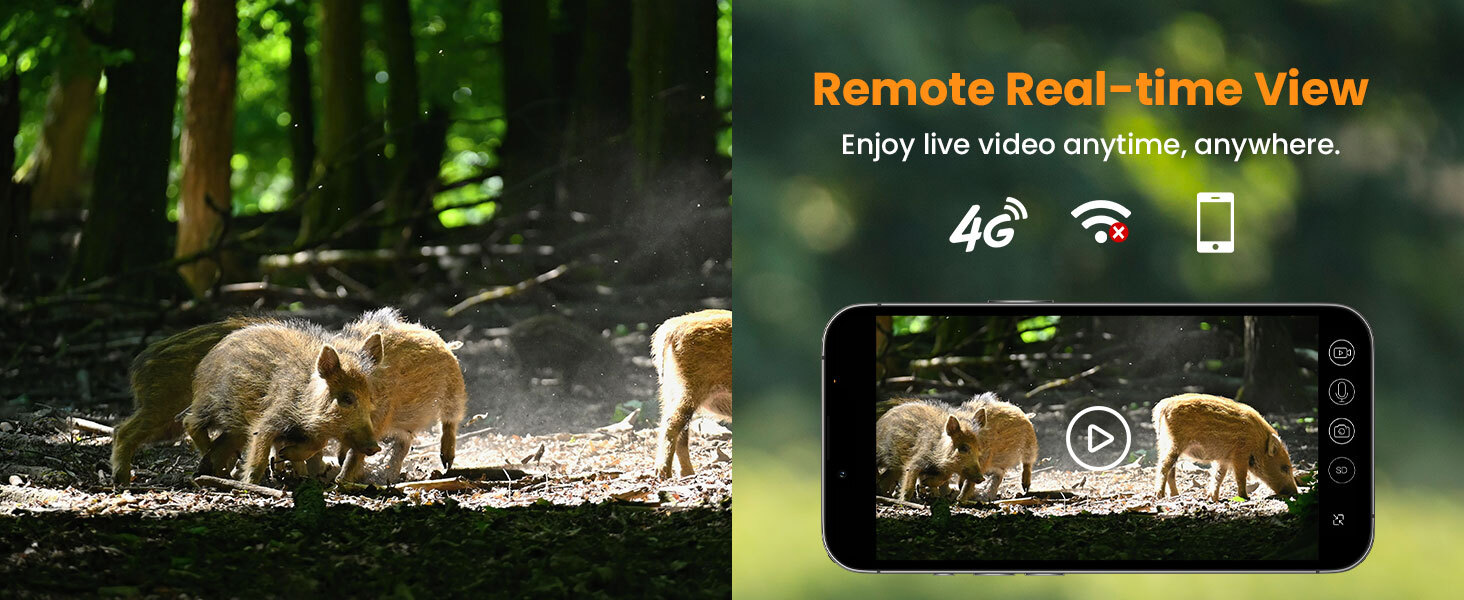 HOSAFE 4G Solar Cellular Trail Camera — Flash Sale