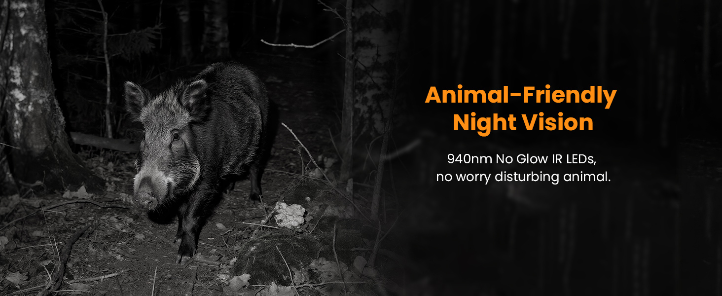 HOSAFE 4G Solar Cellular Trail Camera — Flash Sale