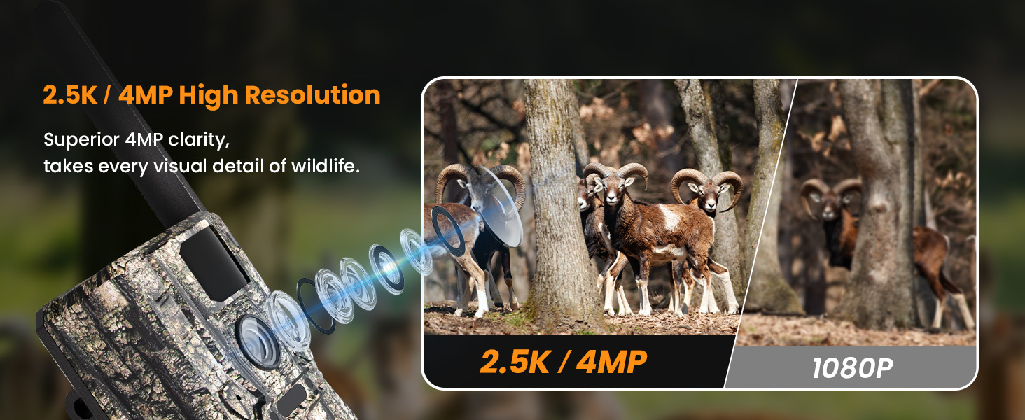HOSAFE 4G Solar Cellular Trail Camera — Flash Sale