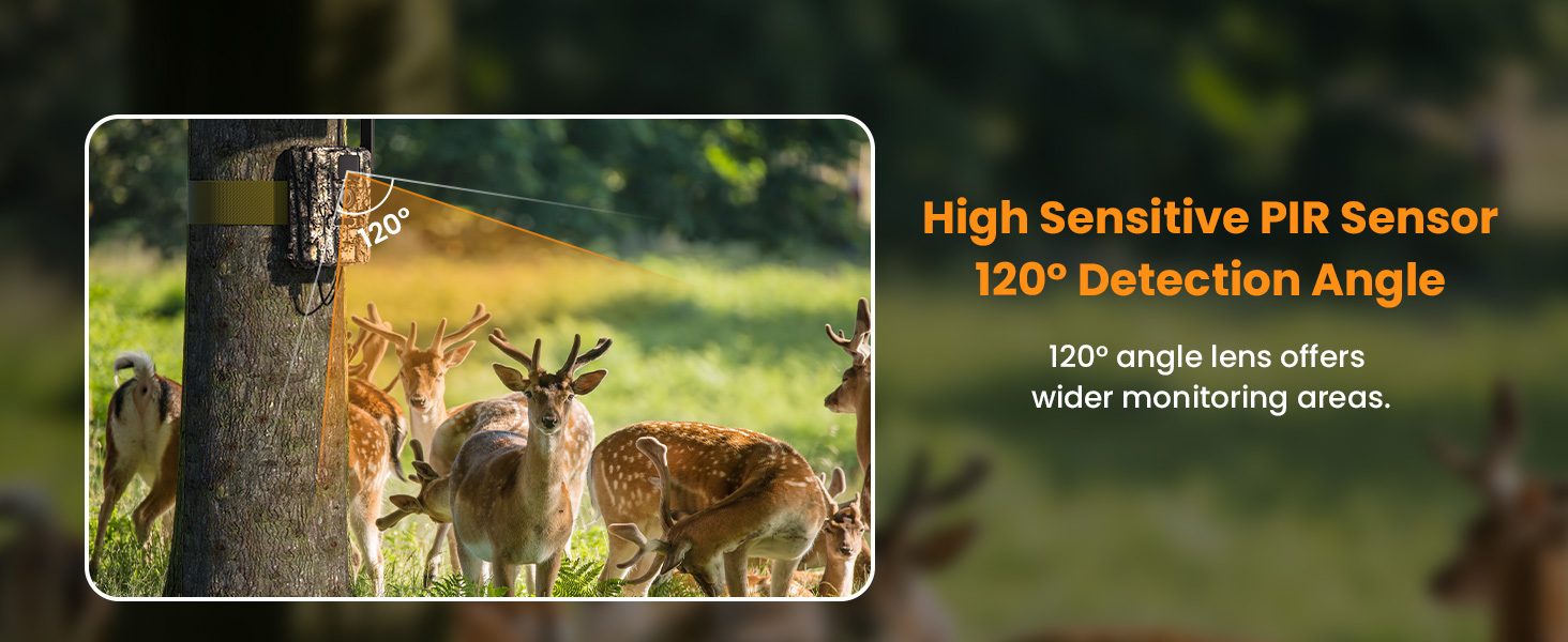 HOSAFE 4G Solar Cellular Trail Camera — Flash Sale