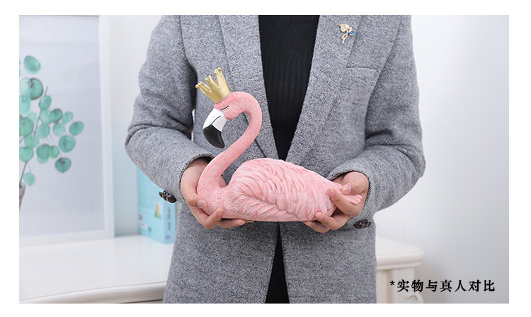 火烈鸟_12